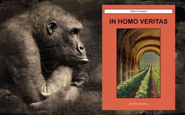 In Homo Veritas de Denis Fournaud : lisez les réflexions de Sined