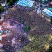 Tomorrowland Belgium 2018 ©DN