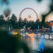 Tomorrowland Belgium 2018 ©julienduval