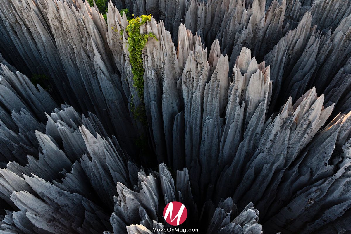 Tsingy de Bemaraha, région de Morondava, Madagascar ©Legacy